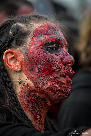 zombie walk PARIS 2014