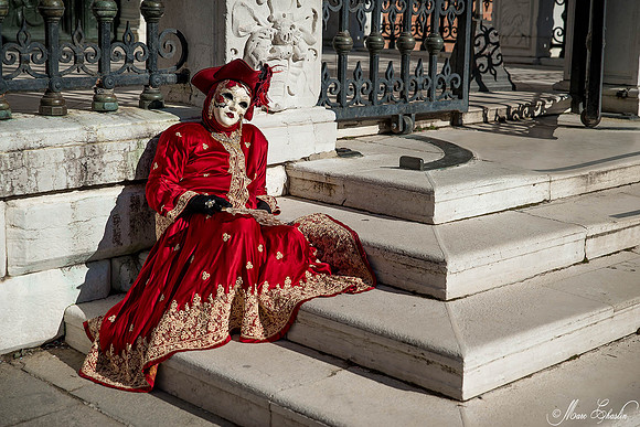 Carnaval de Venise 2015