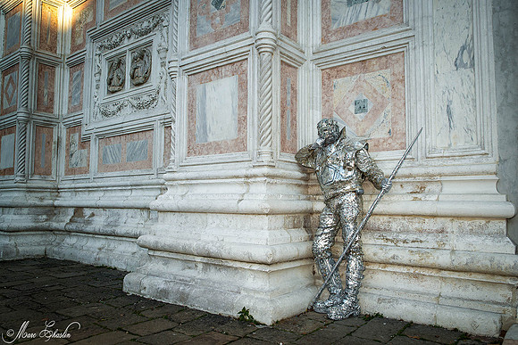 Carnaval de Venise 2015