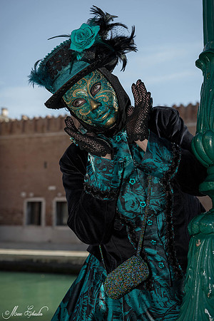 Carnaval de Venise 2015