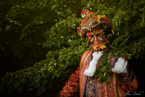 Venise aux jardins d'Annevoie (Belgique-2018)