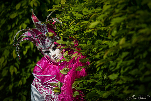 Venise aux jardins d'Annevoie (Belgique-2018)