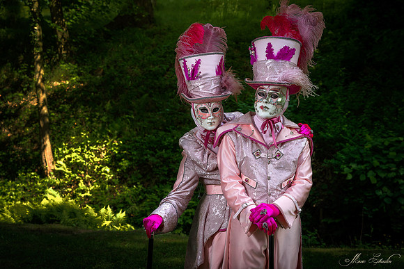 Venise aux jardins d'Annevoie (Belgique-2018)
