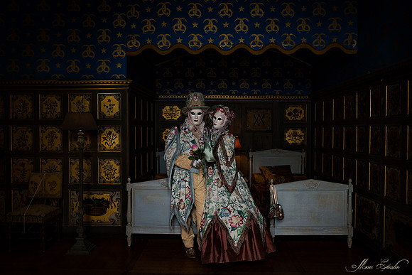 Venise au Château d'Ancy le Franc
