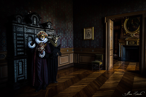 Venise au Château d'Ancy le Franc
