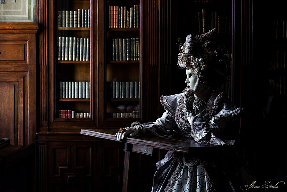 Venise au Château d'Ancy le Franc