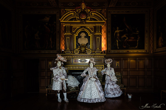 Venise au Château d'Ancy le Franc