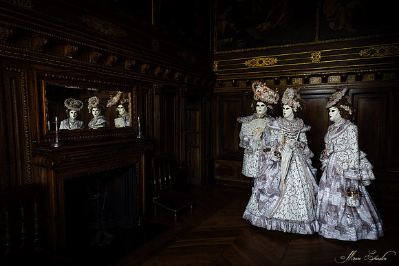 Venise au Château d'Ancy le Franc