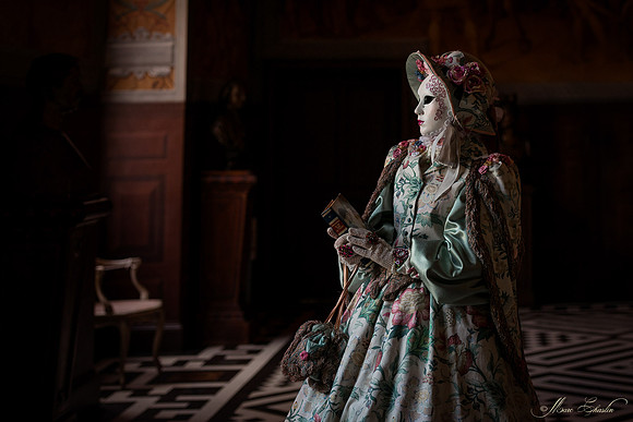 Venise au Château d'Ancy le Franc