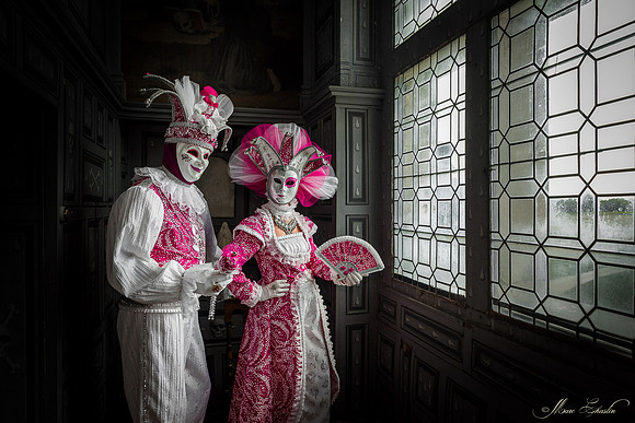 Venise au Château d'Ancy le Franc