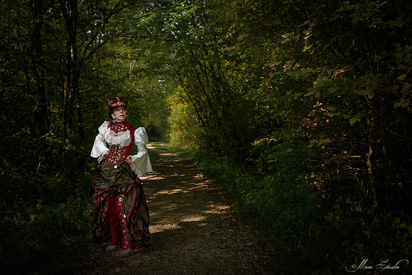 Convention Steampunk Fond de Gras