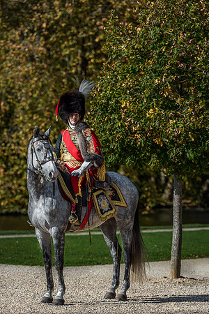 Napoléon à Rambouillet