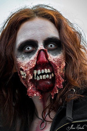zombie walk PARIS 2014