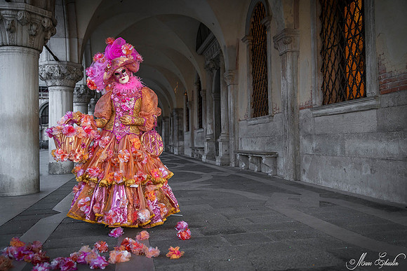 Carnaval de Venise 2015