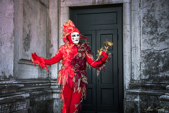 Carnaval de Venise 2020