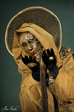 Carnaval de Venise 2015