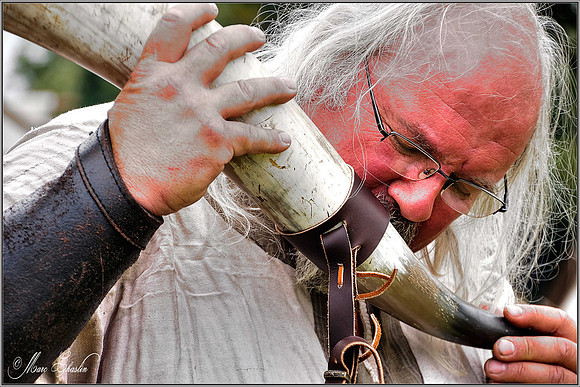 fete médiévale Plessis Belleville