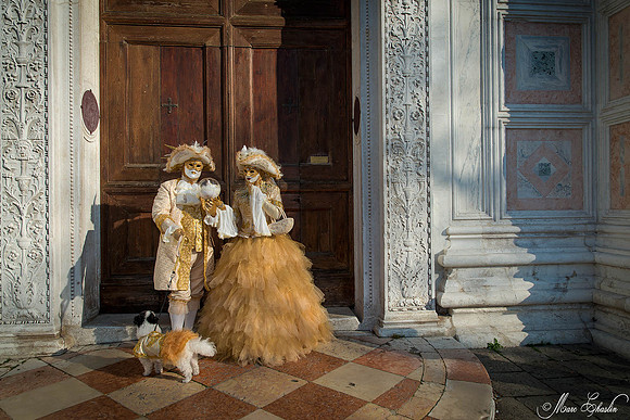 Carnaval de Venise 2015