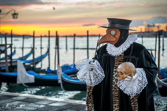Carnaval de Venise 2015