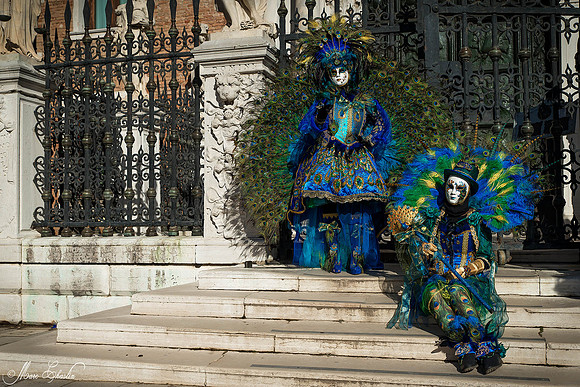Carnaval de Venise 2015