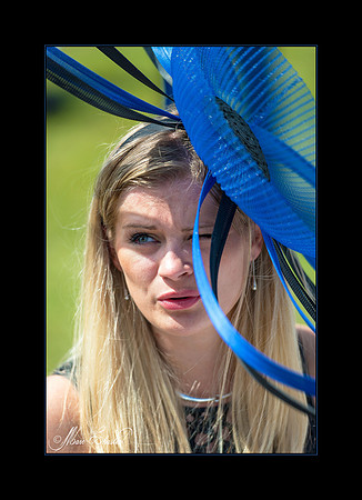 Prix de Diane 2014 ''Chantilly''