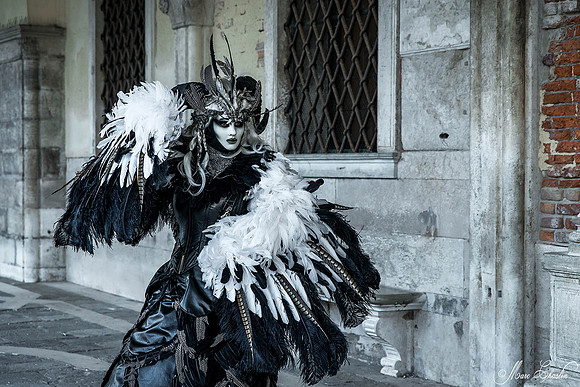 Carnaval de Venise 2015