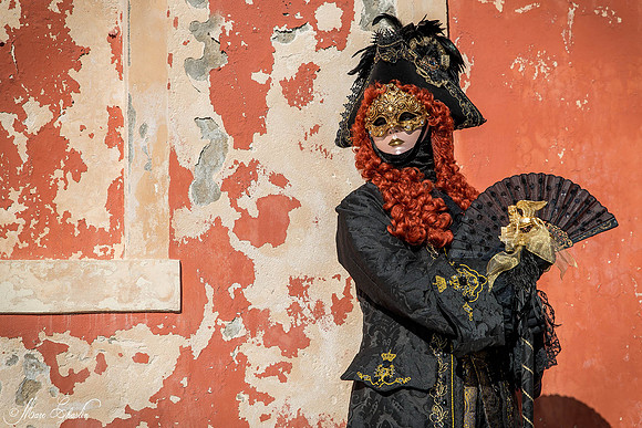Carnaval de Venise 2015