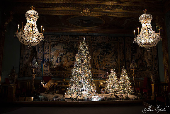 Noel Vaux le Vicomte 2014