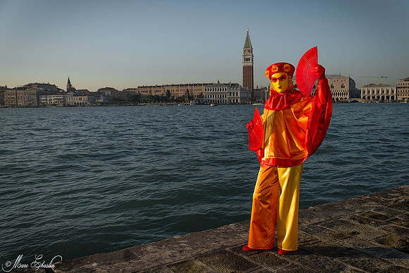 Carnaval de Venise 2015