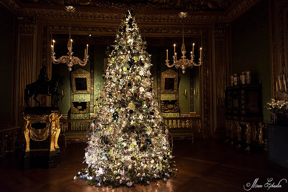 Noel Vaux le Vicomte 2014
