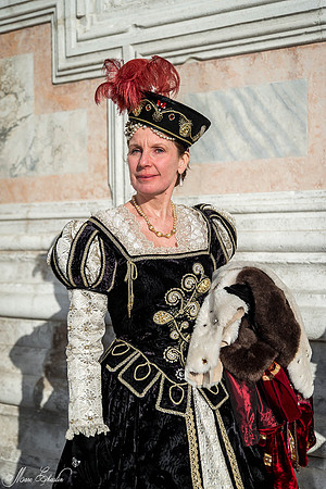 Carnaval de Venise 2015