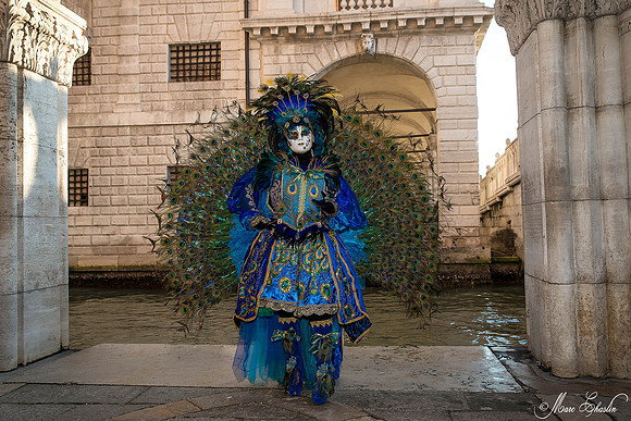 Carnaval de Venise 2015