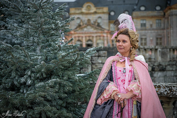 Noel Vaux le Vicomte 2014