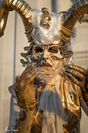 Carnaval de Venise 2015