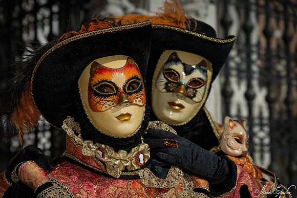 Carnaval de Venise 2015