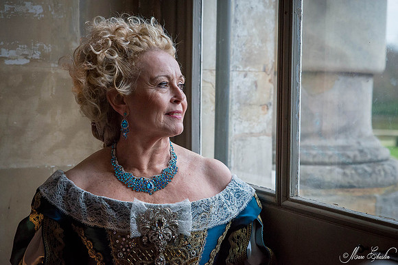 Noel Vaux le Vicomte 2014