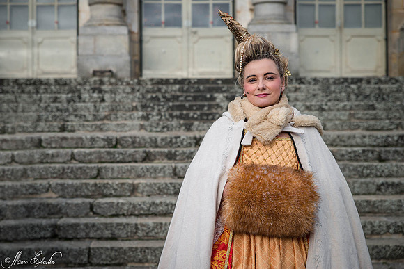 Noel Vaux le Vicomte 2014