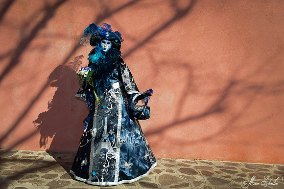 Carnaval de Venise 2015