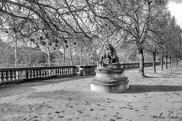 Noir et Blanc