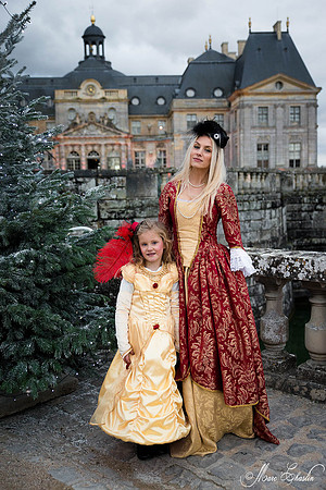 Noel Vaux le Vicomte 2014