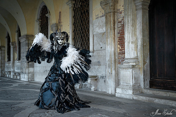 Carnaval de Venise 2015