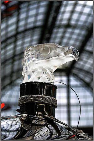 Exposition Grand Palais PARIS