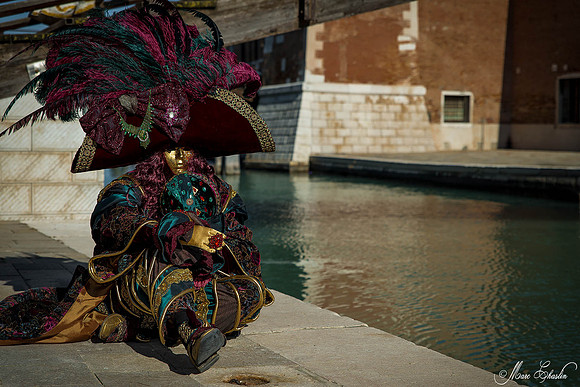 Carnaval de Venise 2015