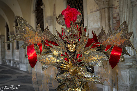 Carnaval de Venise 2015