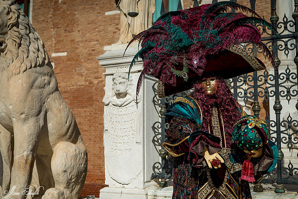 Carnaval de Venise 2015
