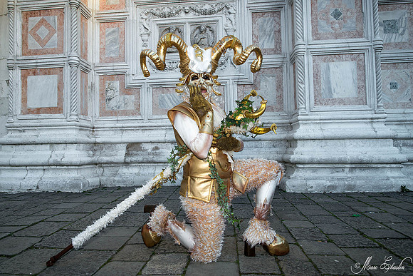 Carnaval de Venise 2015