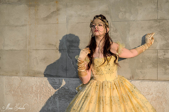 Carnaval de Venise 2015