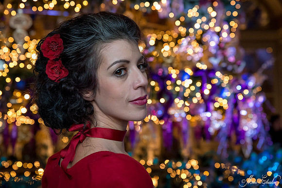 Noel Vaux le Vicomte 2014
