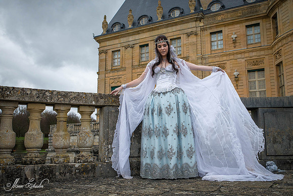 Noel Vaux le Vicomte 2014