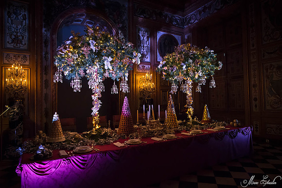 Noel Vaux le Vicomte 2014
